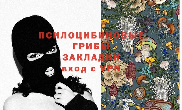 молекула духа Коряжма