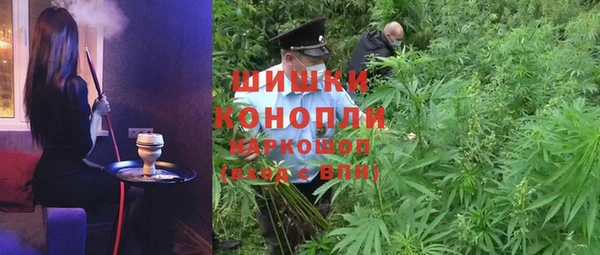 молекула духа Коряжма