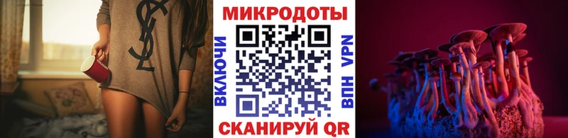 Псилоцибиновые грибы GOLDEN TEACHER  Купить закладки  Ступино 