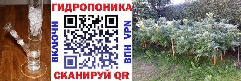 Каннабис ГИДРОПОН Ступино
